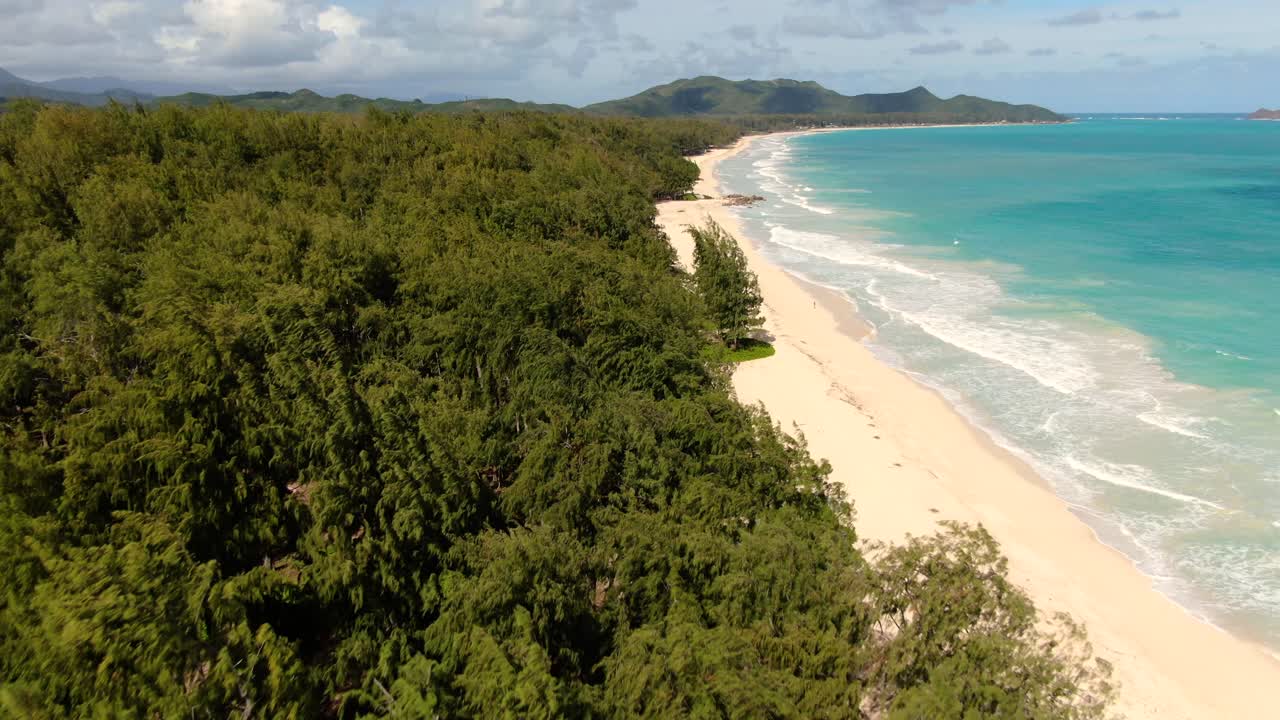 hombre solitario camina por la playa hawaiana tropical junto a un bosque ventoso en un día caluroso