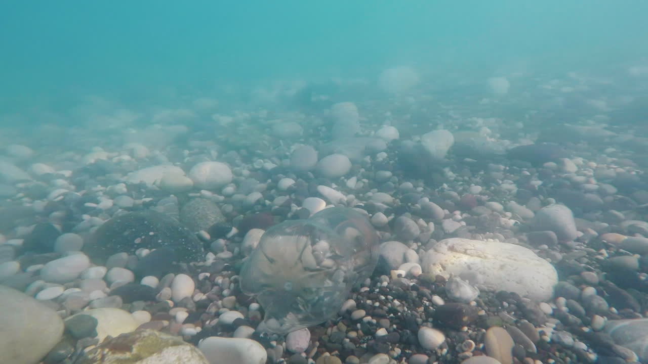 쓰레기로 바다를 오염시키는 바닷물에 빈 플라스틱 병이 떠다니는 것은 나쁜 생태학입니다.