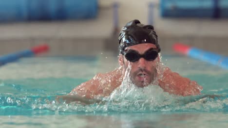 fit man swimming in the pool