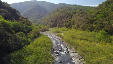 Hermoso-Paisaje-En-La-Selva-De-Montaña-En-El-Noroeste-De-Argentina