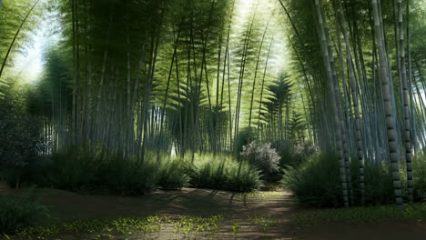 lush green bamboo forest with sunlight filtering through