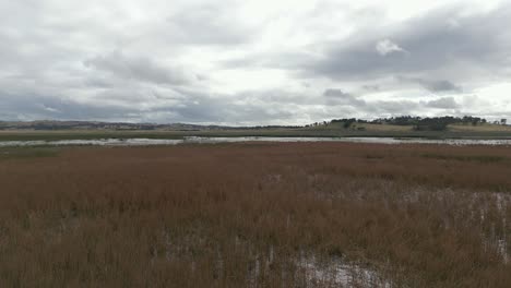 Vista-Aérea-Del-Pantano-De-Humedales-Con-Paisaje-De-Hierba-Roja