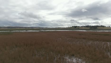 aerial view of wetland swamp with red grass landscape