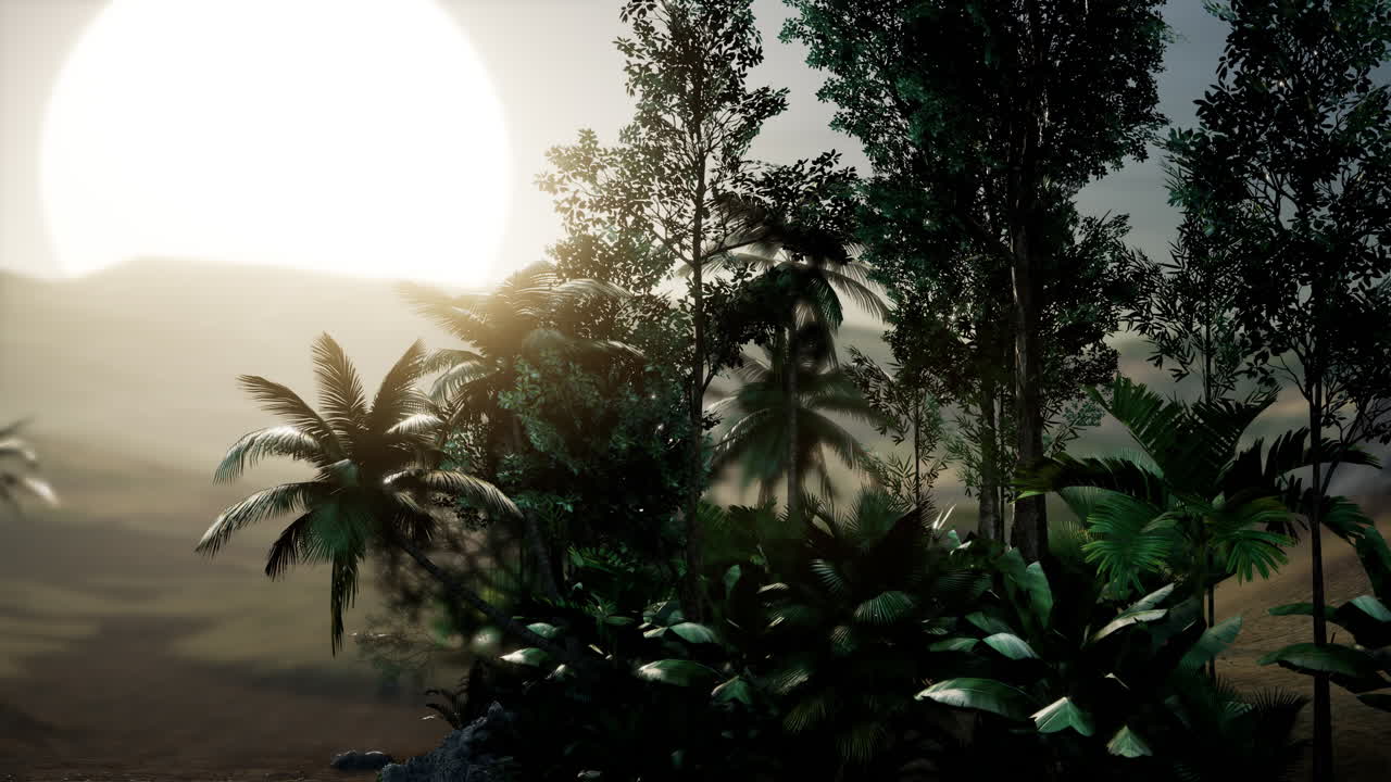 palmeras de coco paisaje tropical