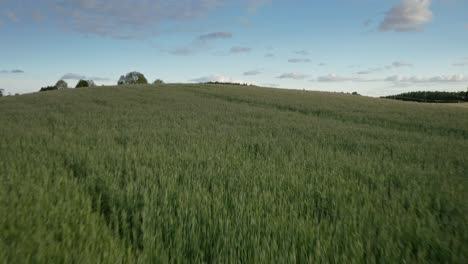 Exuberante-Paisaje-Natural-Verde-En-Warmia,-Polonia---Disparo-De-Drones