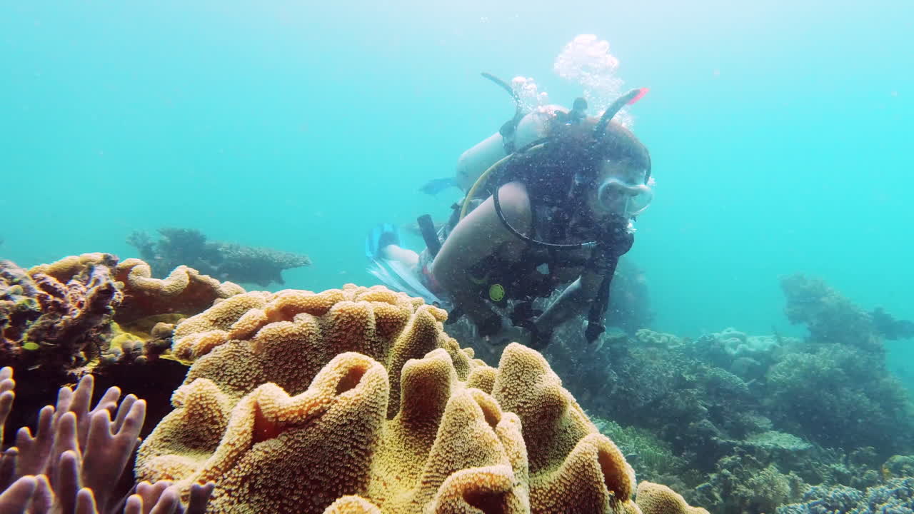 완전히 다른 세상을 탐험하는 것