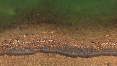 Suaves-Olas-Lamen-La-Playa-Desierta,-Vista-Aérea-De-Drones-De-Arriba-Hacia-Abajo,-Abu-Dhabi,-Emiratos-árabes-Unidos