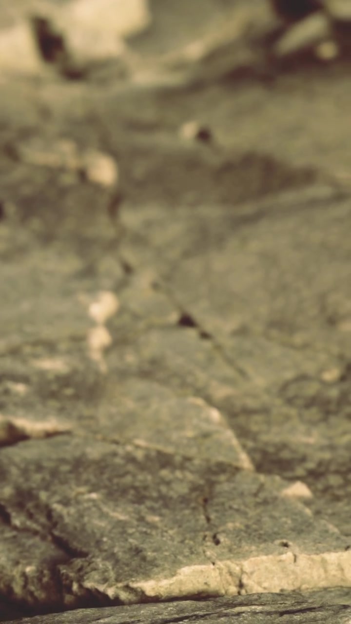 Cracked ground in a dry area during the summer season in the afternoon sun