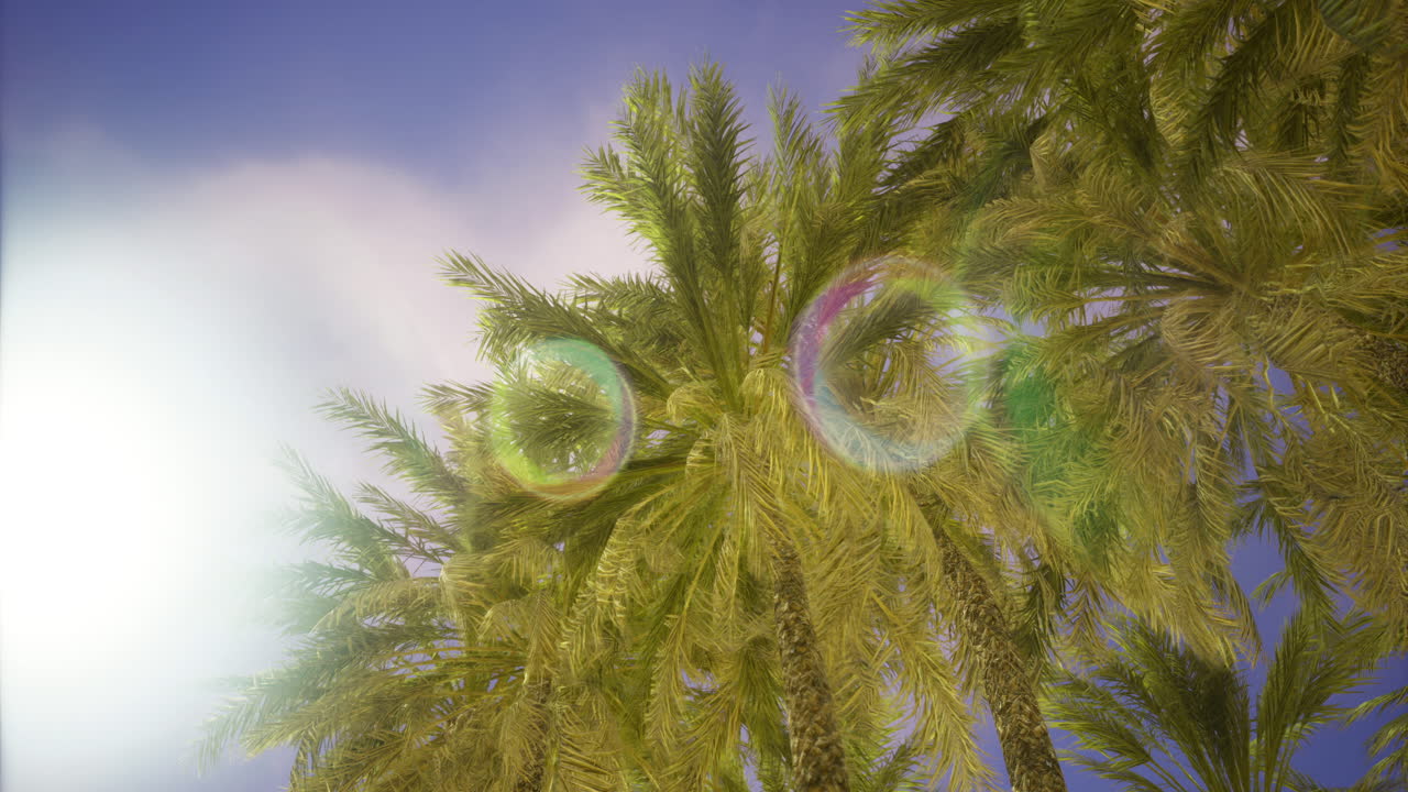 Tropical palm trees sway under a bright blue sky with sunlight and lens flare
