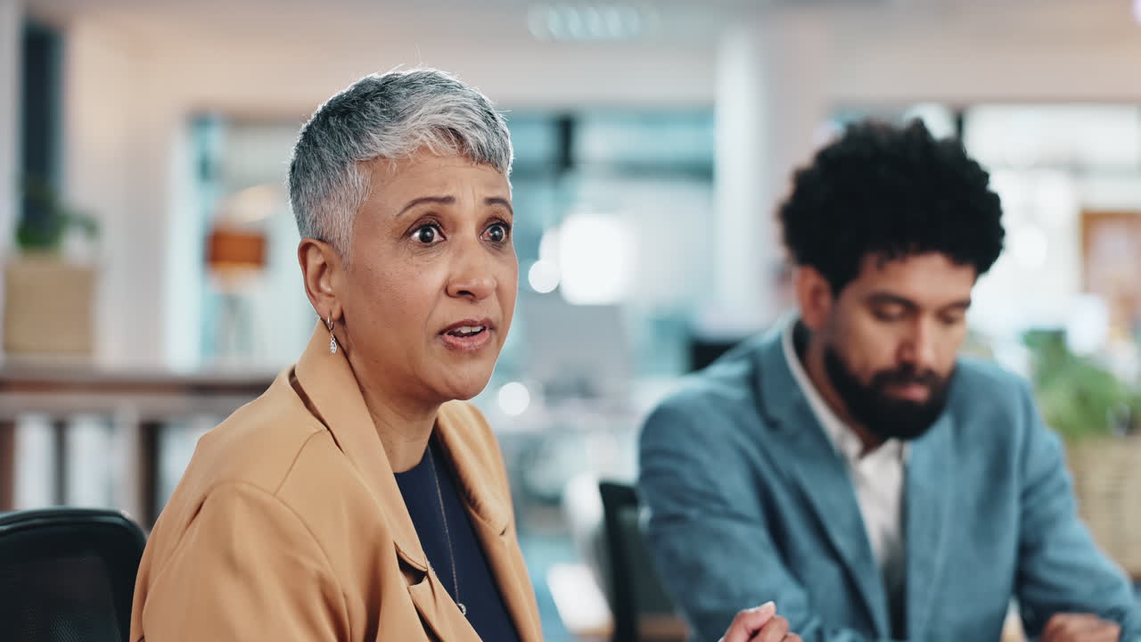 Businesswoman giving a presentation during a meeting