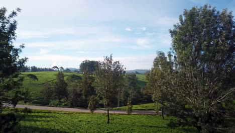 Dron-Que-Se-Eleva-Sobre-La-Plantación-De-Té-Volando-Hacia-El-Hermoso-Valle-Escénico-En-Fort-Portal,-Uganda