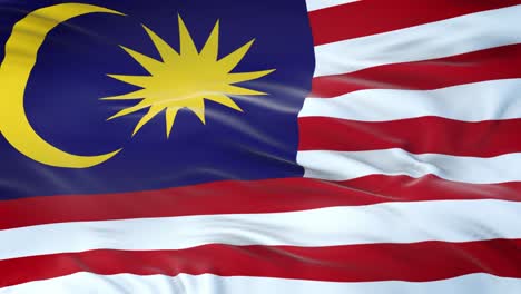 malaysia flag waving in the wind with highly detailed fabric texture. seamless loop