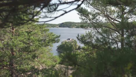 Stunning secluded private cabin in Norwegian fjords, slider reveal through trees