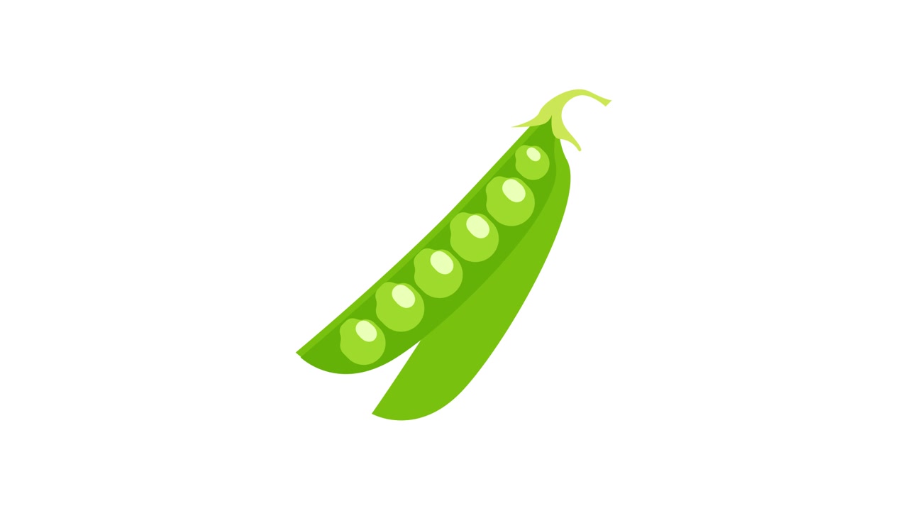 Animasi Polong Kacang Polong Hijau Terbuka Menampakkan Kacang Polong Segar