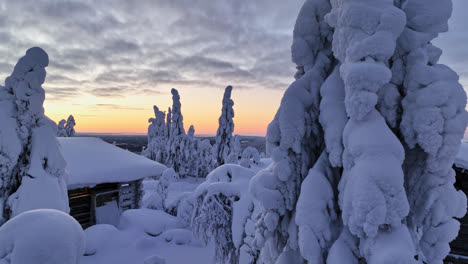 drohnen-tracking tief vor hütten und schneebedeckten bäumen in einer fallenden, polaren nacht in lappland