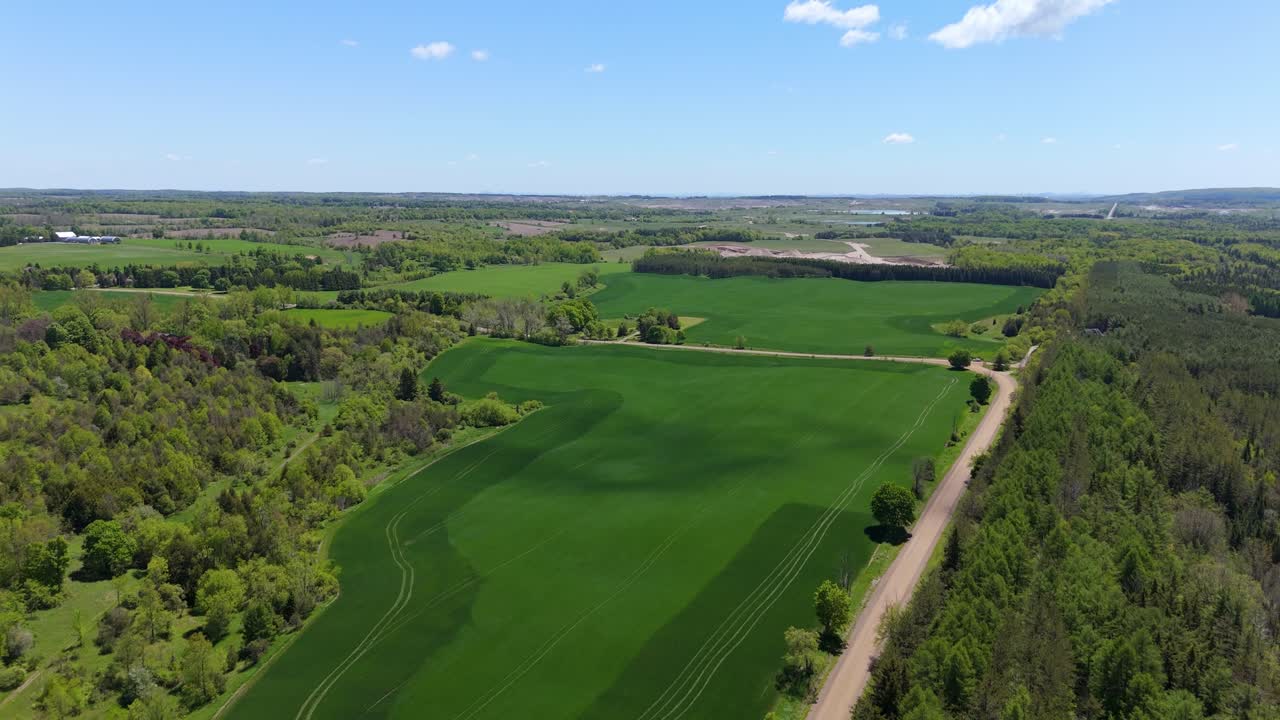 Lush green farm fields with forest edges in Caledon, Ontario, seen from above
