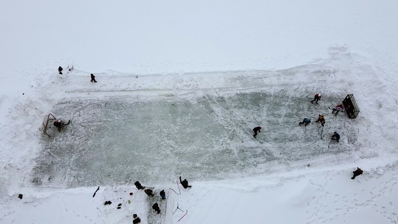 붉은 사슴, 앨버타, 캐나다