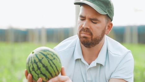 farmer examining watermelon in greenhouse