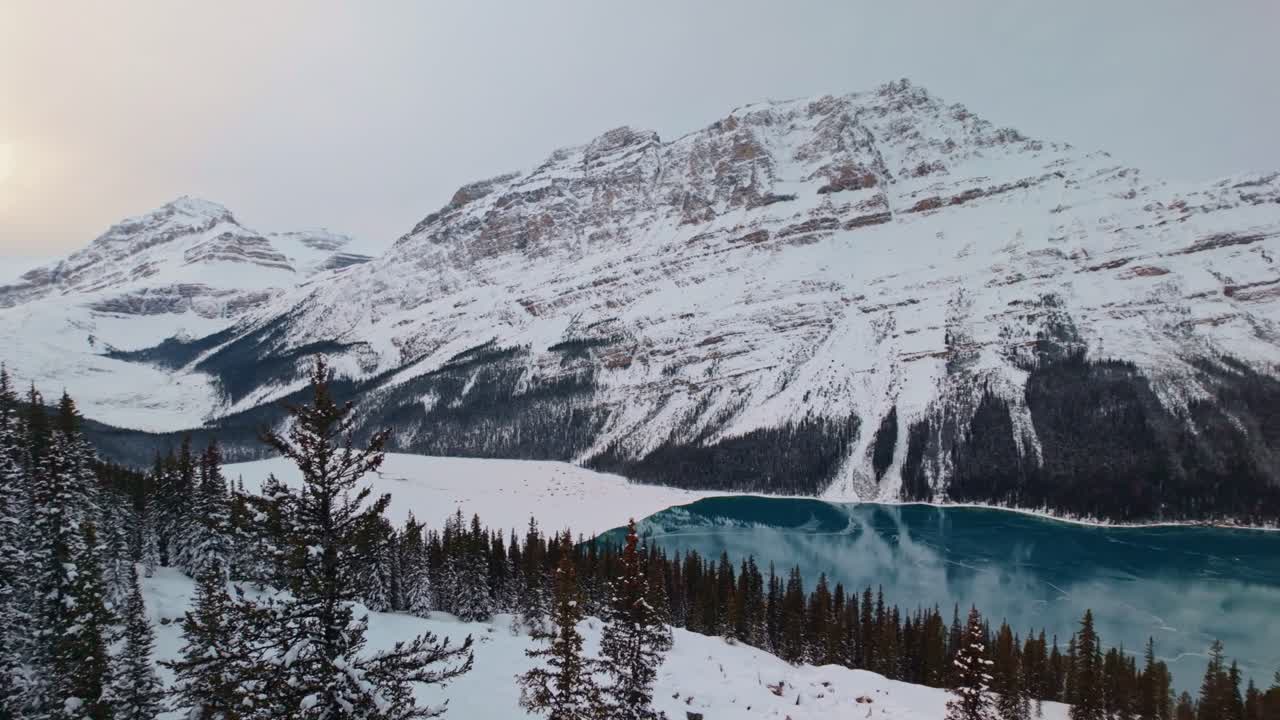 Una vista panoramica mozzafiato sul Lago Peyto nel Parco Nazionale di Banff, Alberta, Canada.
