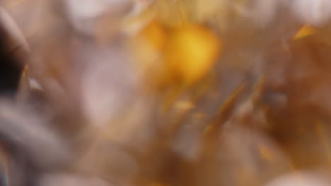 fugas de luz multicolor imágenes de 4k en fondo negro estilizando las transiciones de video efecto bokeh