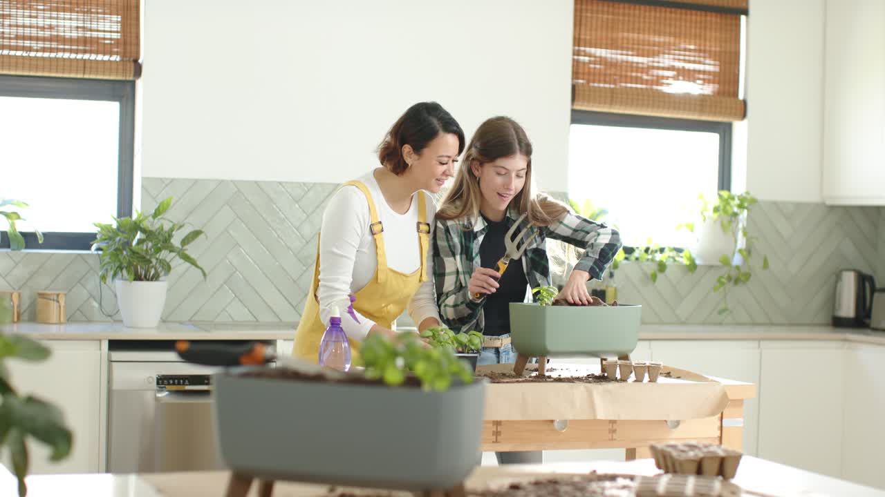 キッチンで、二人の女性の友人がプランターに植物を植えている。一人はトレーを持ち、もう一人はフォークを使っている。