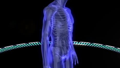 virtual human body scan