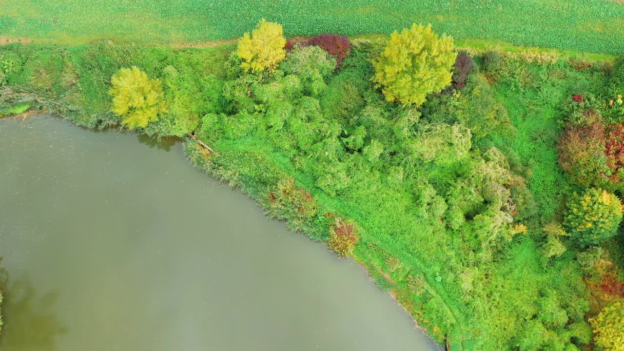 vista aérea de las orillas de un estanque con una pequeña isla