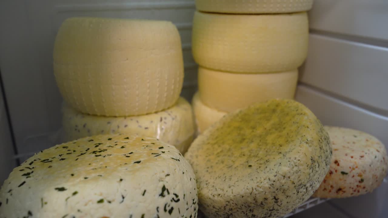 Formaggio Trappista artigianale di latte vaccino, alcuni con erba cipollina e cipolla, pronti per la stagionatura