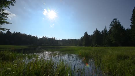 Lago-Relajante-En-Medio-Del-Bosque