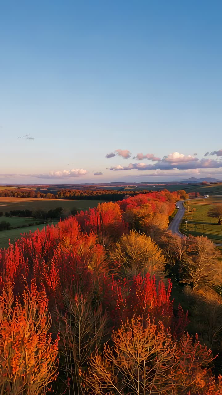 Vertical video: Moving drone showing fall treeline and winding road at sunset, single car passing