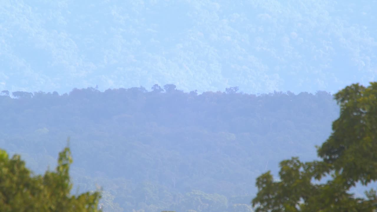 Lush green layers of Tambopata’s rainforest unfold in a sweeping tilt-up deep in the Peruvian Amazon.