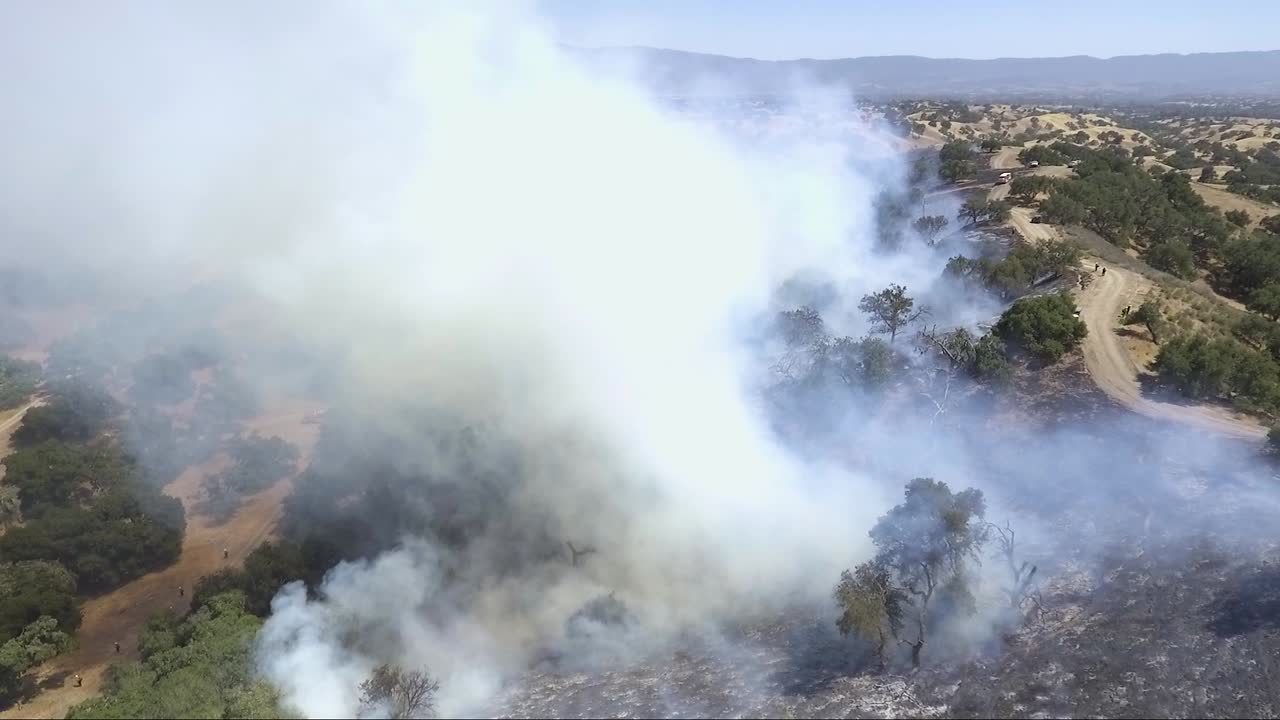 fuego de california quema maleza de salvia