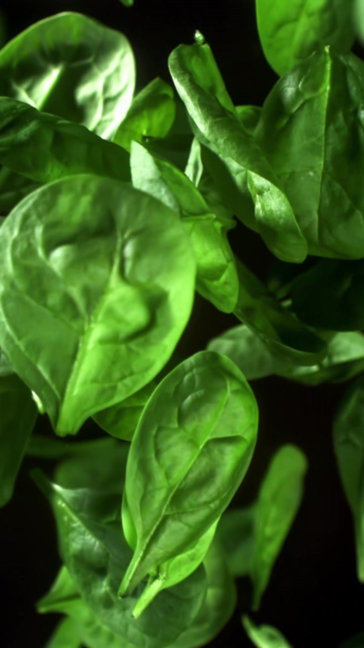 Foglie fresche di spinaci verdi che cadono al rallentatore su uno sfondo scuro