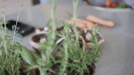 hierbas y verduras frescas en la encimera gris en la cocina, y siendo lavadas en el fregadero, cámara lenta