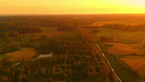 breathtaking aerial view of saturated vibrant orange sky, flying above forest