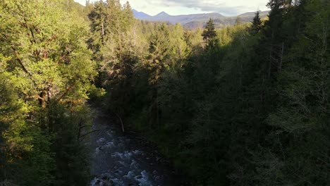 Toma-Aérea-Escénica-Ascendente-Sobre-El-Río-Que-Fluye,-Revelando-Copas-De-árboles-De-Bosques-Siempre-Verdes-Y-Paisajes-En-Carbonado,-Estado-De-Washington.