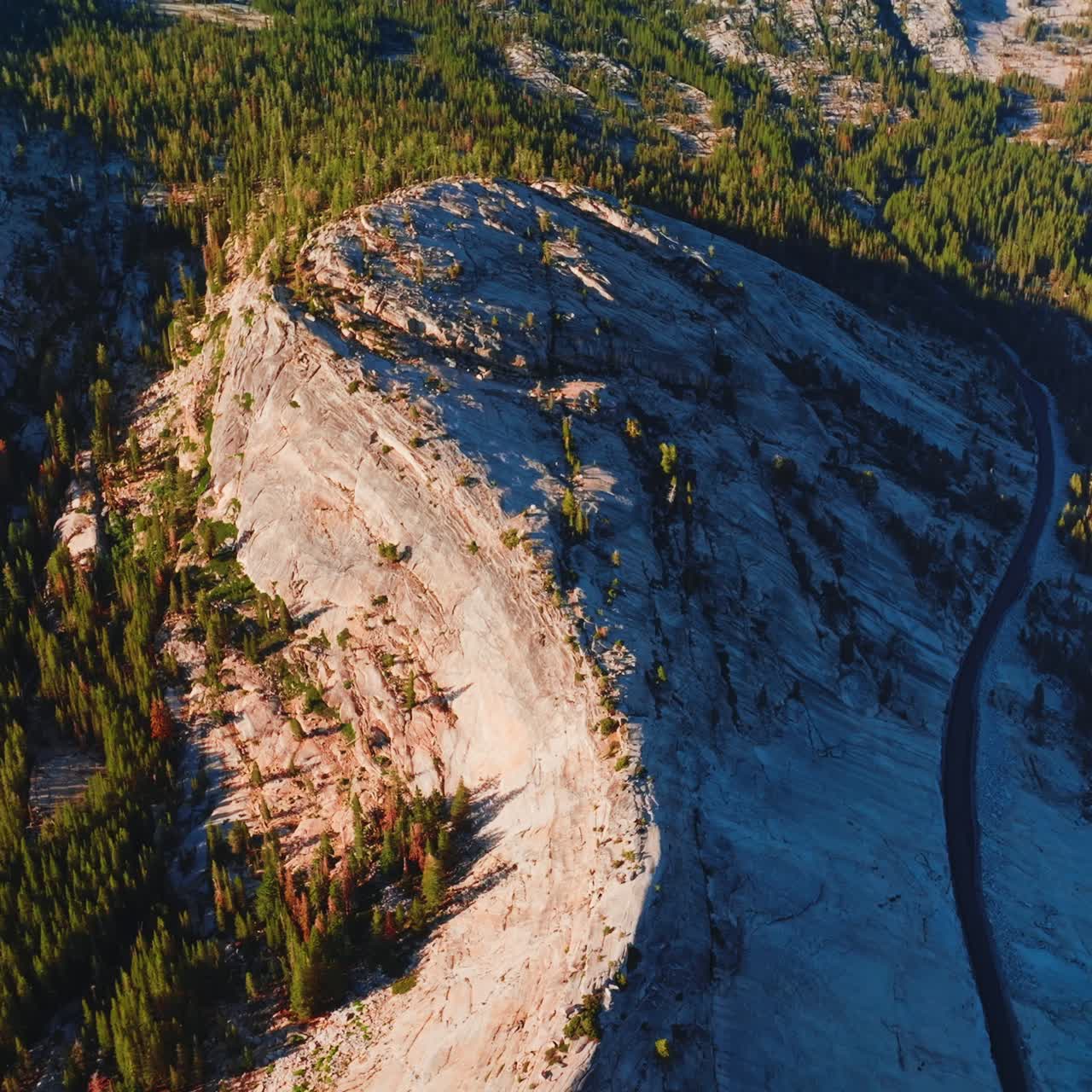 Highway built in the middle of a curvy mountain. Green pine tree forest growing at the foot of the rocks. Aerial view