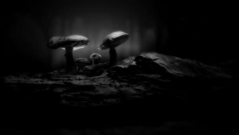 mystical forest / magical mushroom scene.