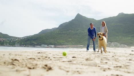 Glückliches-älteres-Paar,-Das-Mit-Hund-Am-Strand-Spielt