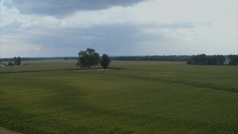 scenic aerial shot of southern farmland and countryside in natchitoches, louisiana