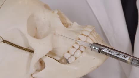 infraorbital-nerve-block-dental-anesthesia-demonstrated-on-human-skull