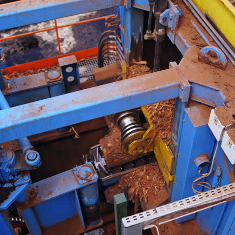 sawmill. process of machining logs in a machine different view closeup. removing bark from logs. closeup.