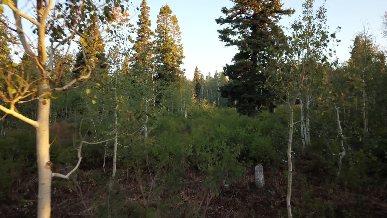 Aerial footage in Uinta Forest in Utah.