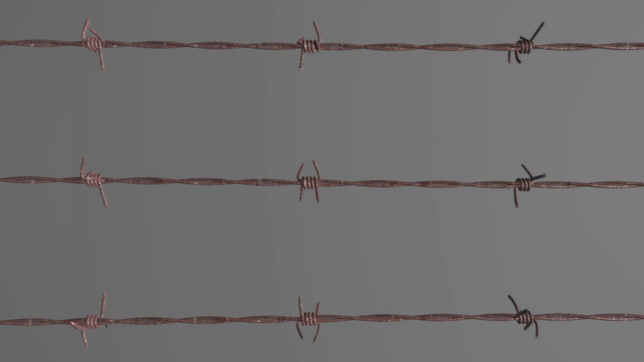 가시 와이어 루프 05