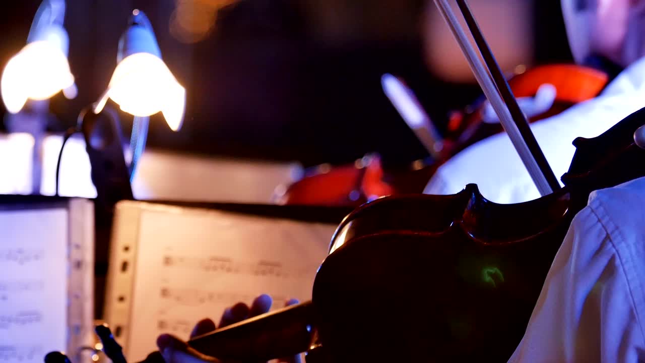 4K Musikere spiller violin til en udendørs natkoncert.