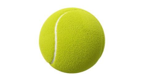 tennis ball on white background.