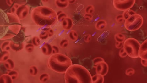animazione di cellule in movimento su sfondo rosso