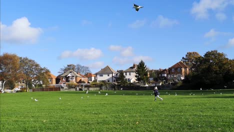 Bella-Imagen-De-Gaviotas-Volando-En-Un-Campo-Vacío-En-Southampton,-Reino-Unido-2