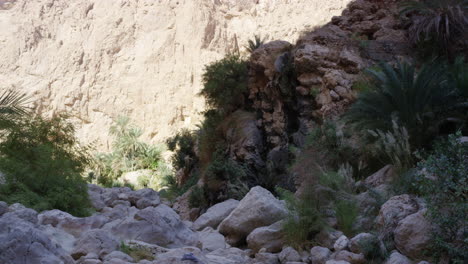 the rocky path leading to the pools of wadi shab canyon, oman, medium shot