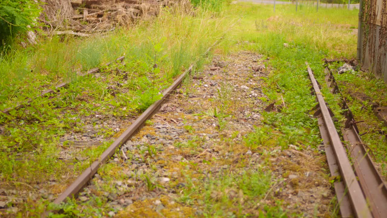 An abandoned railway line overgrown with grass and weeds, showcasing the remnants of tracks